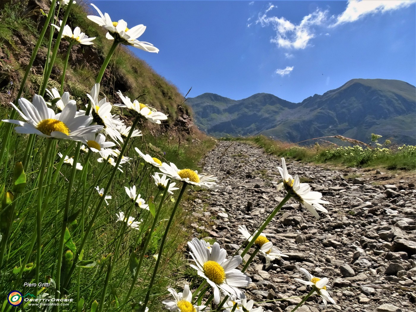 12 Sul 204 per il Lago Moro con vista in Corno Stella e Monte Chierico.JPG